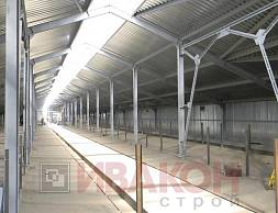 Телятник 2380 кв.м.